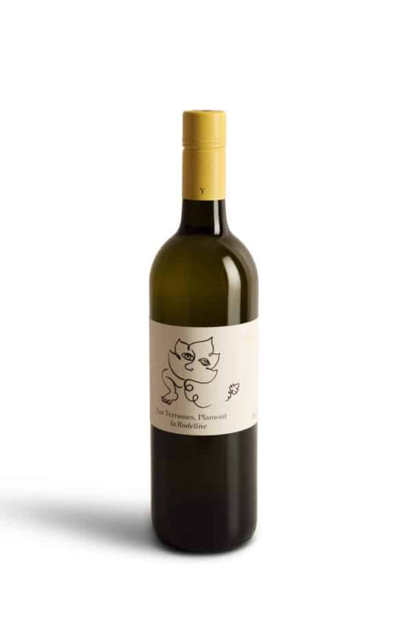 Chasselas valaisan