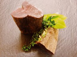 Viande séchée morceau