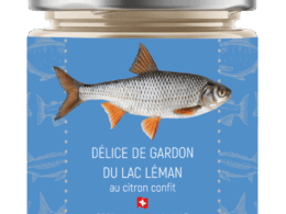 les poissons du lac léman gardons_citron