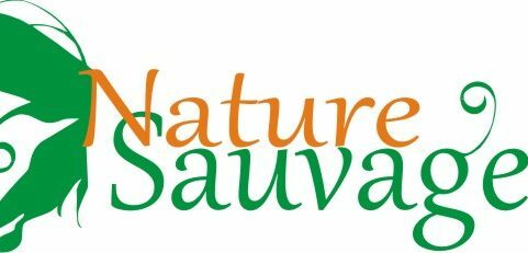 nature sauvage