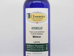 L'hydrolat de mélèze