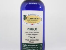 Hydrolat thuya