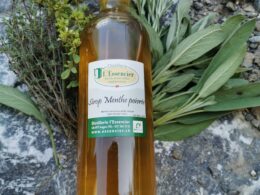 Sirop à la menthe poivrée