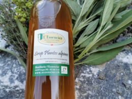 Sirop "plantes alpines"