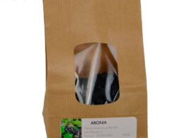 Baies séchées aronia