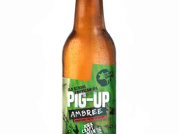 Bière BlackPig PIG-UP | L’Ambrée
