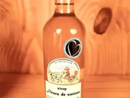 Fleur de sureau
