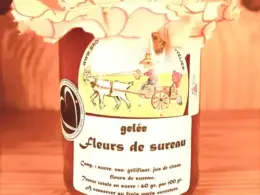 Gelée Fleurs de sureau