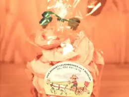 Pommes séchées