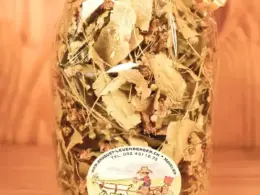 tisane tilleul bienfaits