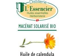 Huile de Calendula (Macérat Solarisé)
