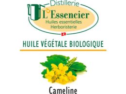 aliments riches en omega 3