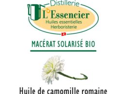 Huile Camomille Romaine (Macérat Solarisé)
