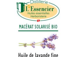 Huile de Lavande Fine (Macérat Solarisé)