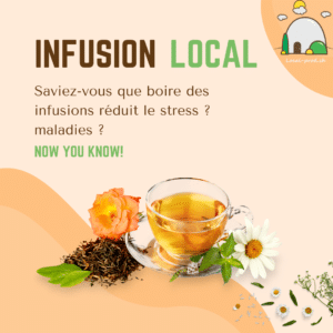 Infusion Chardon Marie