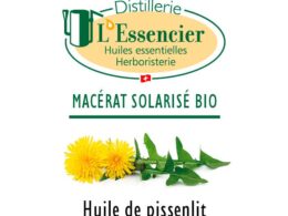 Huile Pissenlit