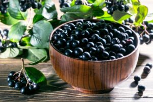 Baies d'aronia