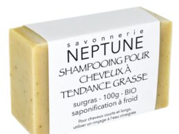 Shampooing naturel pour cheveux gras
