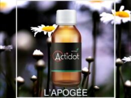 remède naturel gueule de bois