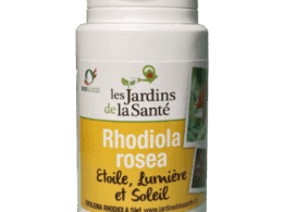 Rhodiola rosea bien-être