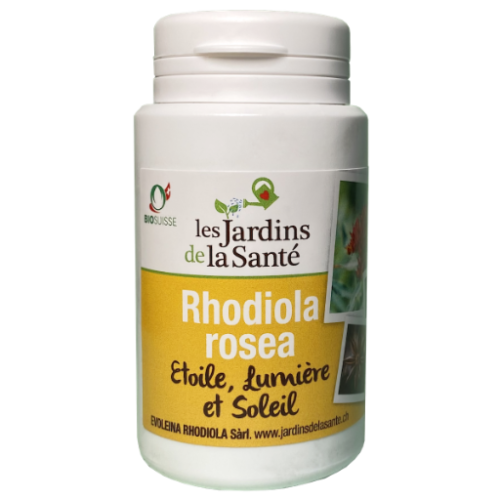 Rhodiola rosea bien-être