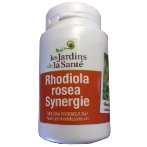 Rhodiola rosea Synergie