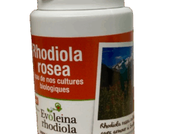 Rhodiola rosea gélules