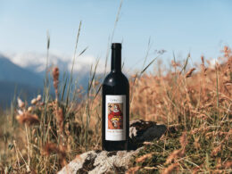 Découvrez notre Gamay 2023, baptisé "Invitation" 75cl