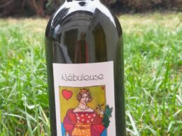 Nébuleuse 2023 (humagne sur lie) "nuit blanche" 75cl