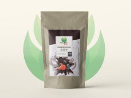 Poudre de Guarana - 100g - CureFood