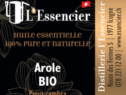 Huile essentielle d'Arole