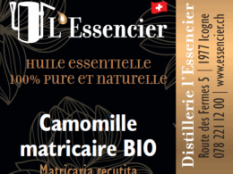 Huile essentielle Camomille Matricaire ou Allemande