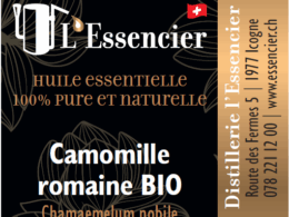 Huile essentielle Camomille Romaine (ou Noble)