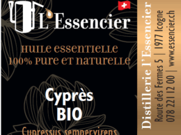 Huile essentielle de Cyprès