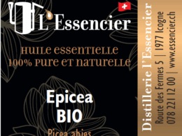 Huile essentielle d'Epicéa