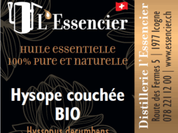 Huile essentielle d'Hysope couchée