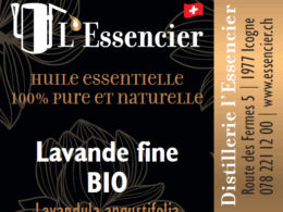 Huile essentielle de Lavande Fine