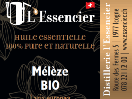 Huile Essentielle de Mélèze