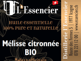 Huile essentielle Mélisse Citron