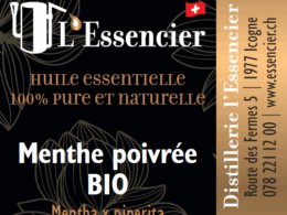 Huile essentielle Menthe Poivrée