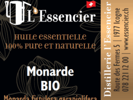 Huile essentielle Monarde Fistuleuse