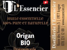 Huile essentielle Origan