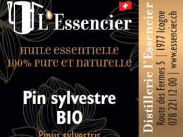 Huile Essentielle de Pin Sylvestre