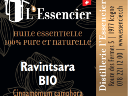 Huile Essentielle de Ravintsara