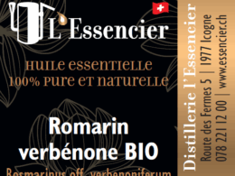 Huile essentielle Romarin Verbénone