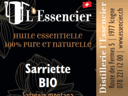 Huile essentielle Sarriette