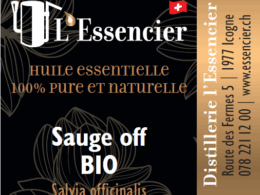 Huile essentielle de Sauge Officinale