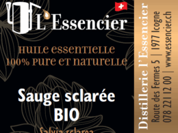 Huile essentielle Sauge Sclarée