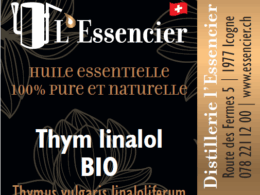 Huile essentielle de Thym Vulgaire à Linalol