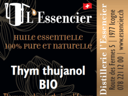 Huile essentielle Thym Vulgaire à Thujanol